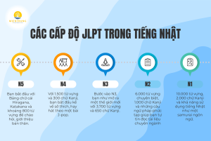 Với thực tập sinh, tiếng Nhật không chỉ là ngôn ngữ giao tiếp mà còn là chìa khóa để thích nghi và phát triển trong môi trường làm việc tại Nhật.